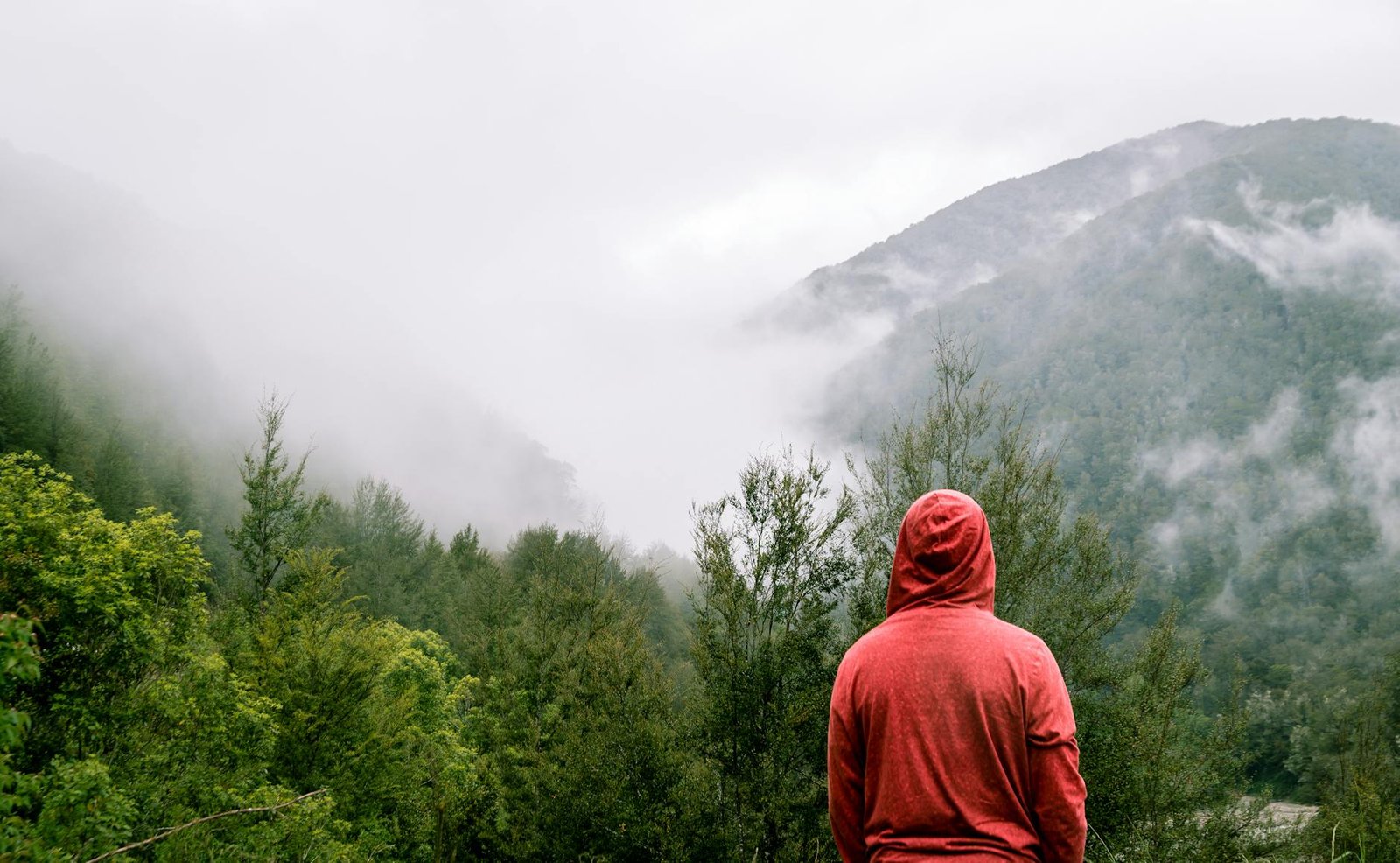 person wearing red hoodie standing near trees with mountain at distance