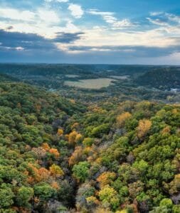 aerial footage of trees