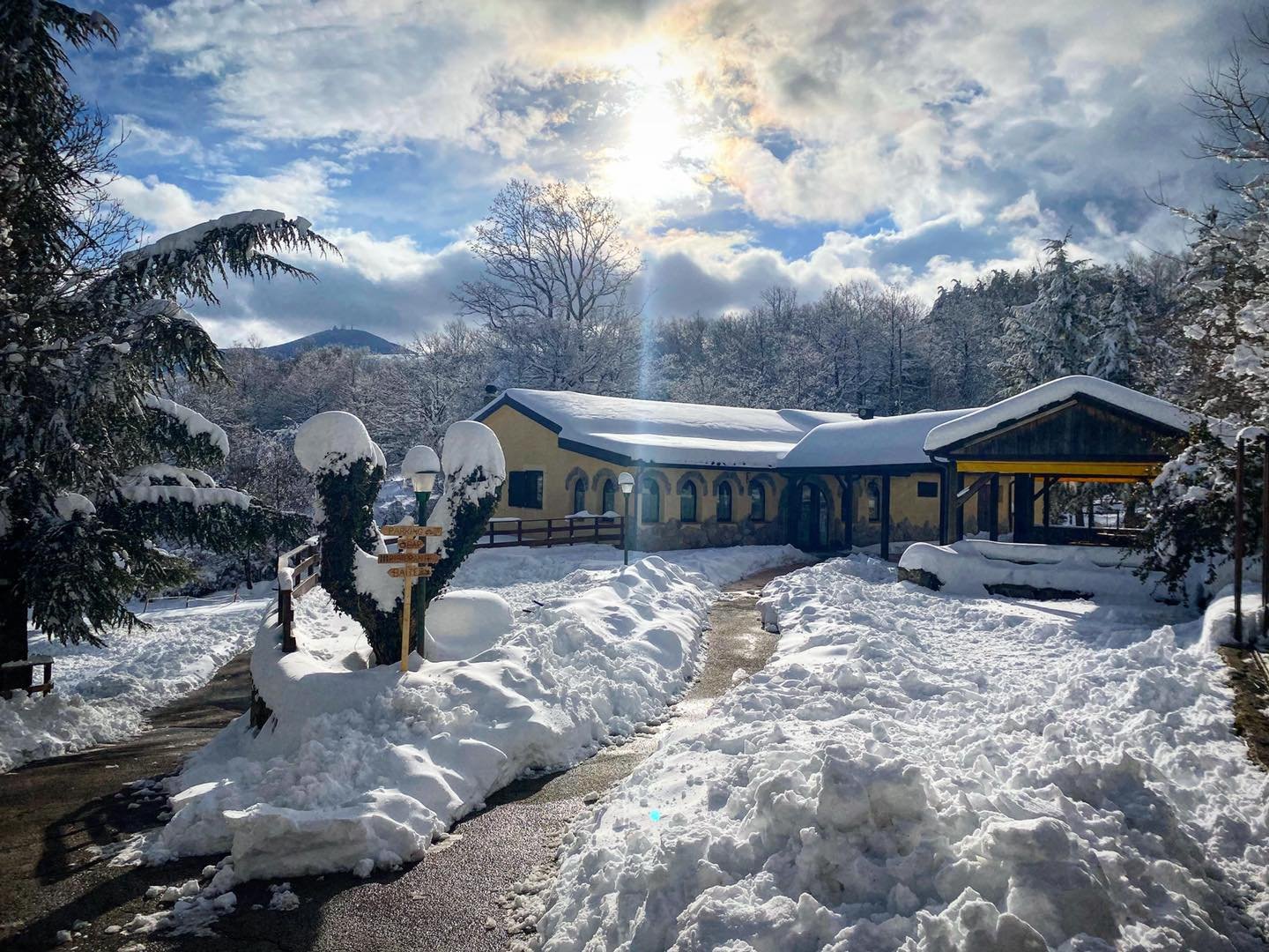 Chin Up! “Al nido del falco”