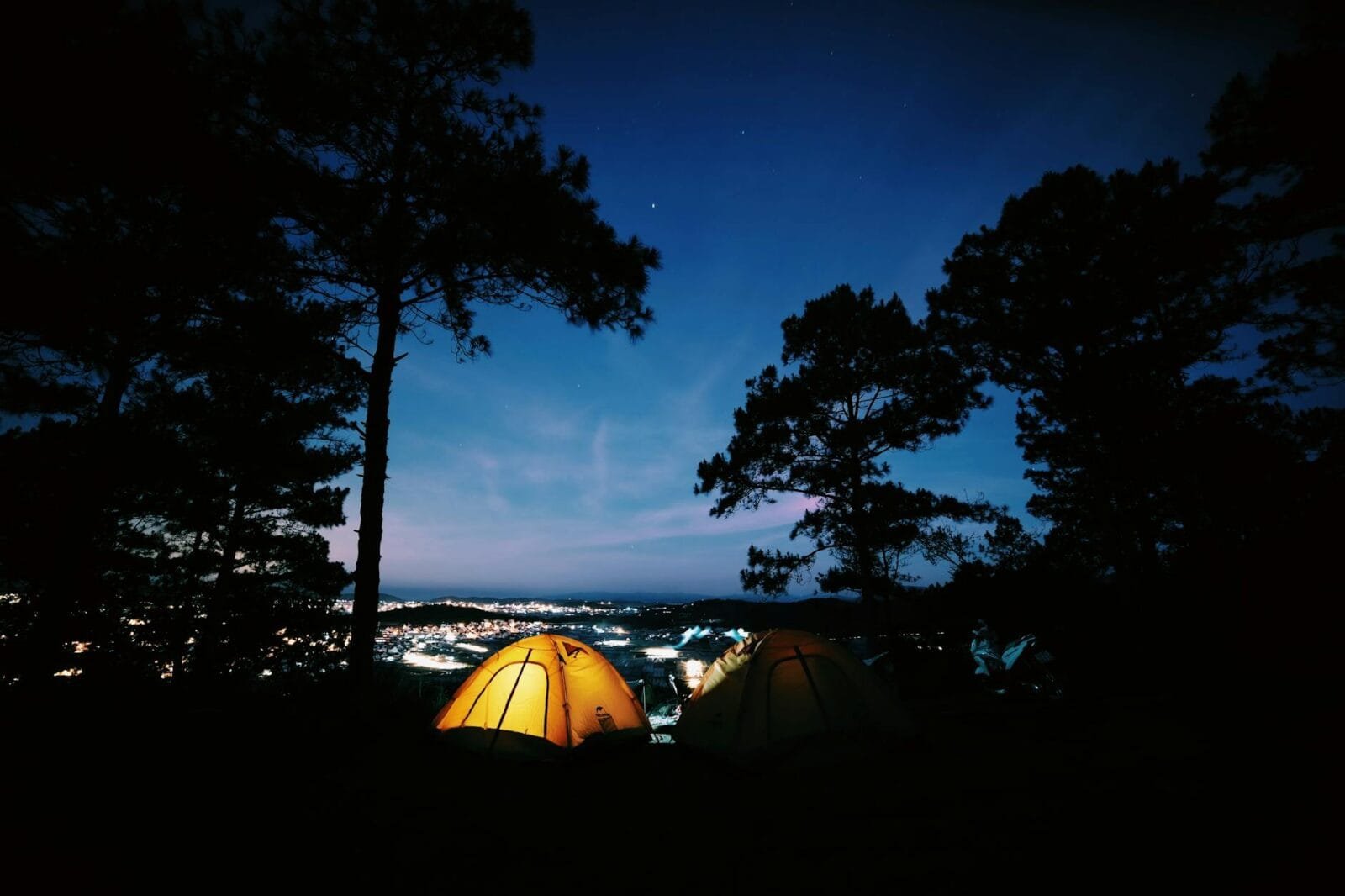 camping among trees with city behind at night